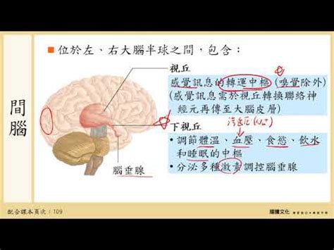 下視丘功能口訣|財團法人罕見疾病基金會